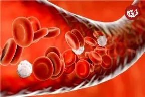 کشف علت جدیدی برای فشار خون بالا و راهی برای درمان آن