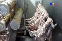 (ویدئو) سوسیسی که از بازار می خرید، چگونه در کارخانه تولید می شود؟ 