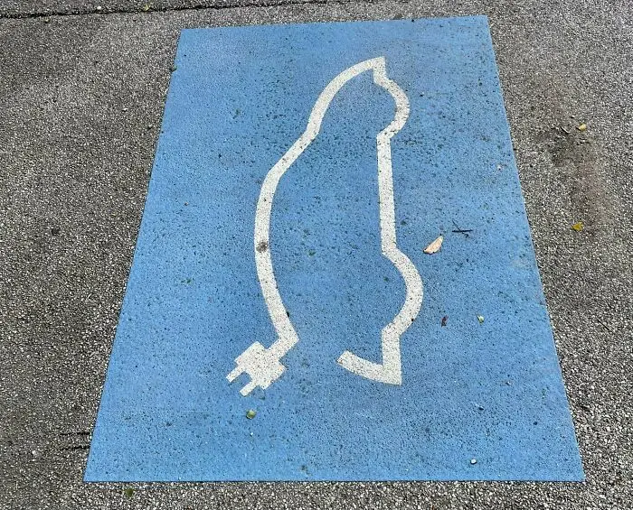 این چند عکس، علی‌رغم ظاهر ساده، ذهنتان را فریب می‌دهد