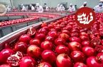 ببینید؛ مراحل کاشت، برداشت و فرآوری انار در باغات و کارخانه های آمریکایی