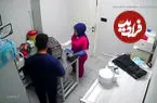 ببینید| گربه خیابانی کلینیک دامپزشکی را به هم ریخت