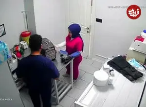 ببینید| گربه خیابانی کلینیک دامپزشکی را به هم ریخت