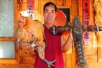ببینید؛ غذای روستایی در چین؛ پخت یک غذای خاص با مرغ و لابستر