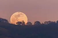 چرا چشمانمان به ما دروغ می‌گویند؟ / پشت پرده توهم ماه غول‌آسا