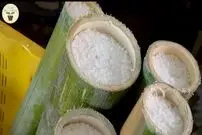 (ویدئو) فرآیند تماشایی تولید نمک بامبو کره ای؛ هر کیلو 500 دلار!