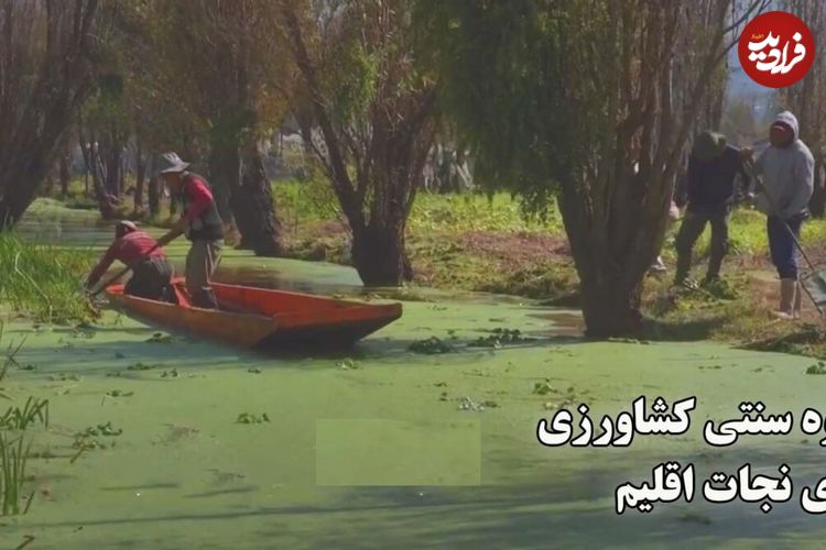 (ویدئو) کشاورزی سنتی برای نجات مردم در مکزیک؛ مردم کشاورزی سنتی را نابود می‌کنند