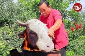 ببینید| غذای روستایی در چین؛ پخت کله گاو بزرگ گاو توسط آشپز ماهر روستایی