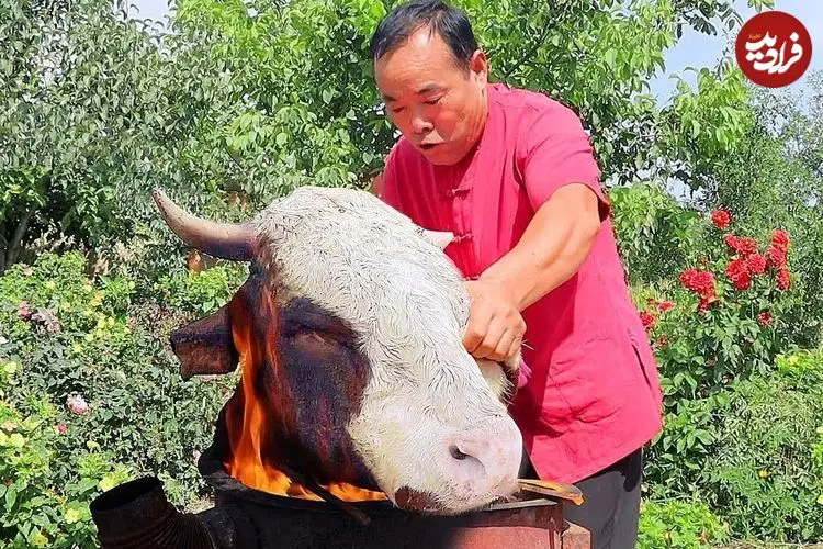 ببینید| غذای روستایی در چین؛ پخت کله گاو بزرگ گاو توسط آشپز ماهر روستایی