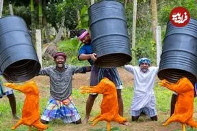 ببینید| غذای روستایی در هند؛ کباب کردن 3 بز کامل در بشکه در طبیعت