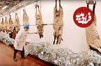ببییند؛ چگونه پشم گوسفند به لباس تبدیل می‌شود؟