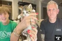 (عکس) نجات یک بچه گربه از لوله شومینه
