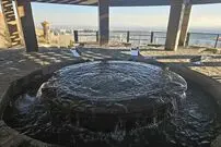 (ویدئو) بازگشت آب بعد از ۷ سال به آبشار تهران