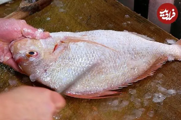 ببینید| غذای خیابانی در ژاپن؛ تهیه سالاد با اختاپوس، ماهی و آووکادو در اوکیناوا