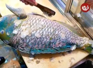 ببینید| غذای خیابانی در ژاپن؛ تهیه دو نوع غذا با ماهی دندان دار در اوکیناوا