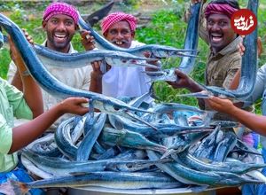 ببینید؛ غذای روستایی در هند؛ پخت خوراک با 100 کیلو سوزن ماهی در طبیعت