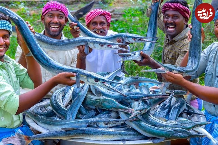 ببینید؛ غذای روستایی در هند؛ پخت خوراک با 100 کیلو سوزن ماهی در طبیعت