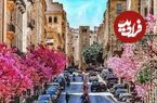 عکس؛ سفر به تاریخ؛ «بازار میوه فروشان بیروت لبنان»؛ سال 1351