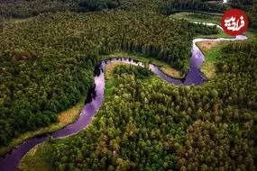 آمازون بعد از ۱۰ میلیون سال دوباره «فوق‌استوایی» می‌شود