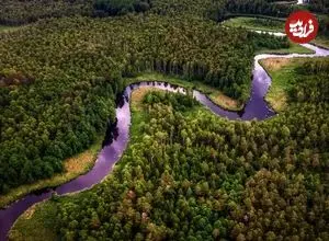 آمازون بعد از ۱۰ میلیون سال دوباره «فوق‌استوایی» می‌شود