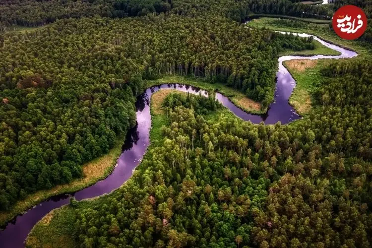 آمازون بعد از ۱۰ میلیون سال دوباره «فوق‌استوایی» می‌شود