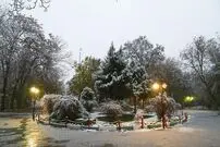 (ویدئو) بارش اولین برف پاییزی در شمال کشور 