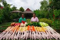 ببینید| غذای روستایی در سنگاپور؛ پخت سوپ پای مرغ و سبزیجات در طبیعت روستا