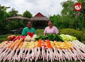 ببینید| غذای روستایی در سنگاپور؛ پخت سوپ پای مرغ و سبزیجات در طبیعت روستا