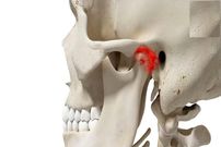 ببینید؛ دررفتگی ناگهانی فک یک مسافر هنگام خمیازه