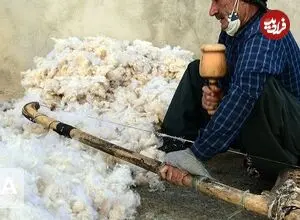 عکس| سفر زمان؛ «پنبه‌زن اصفهانی» در حال زدن پشم؛ 140 سال قبل
