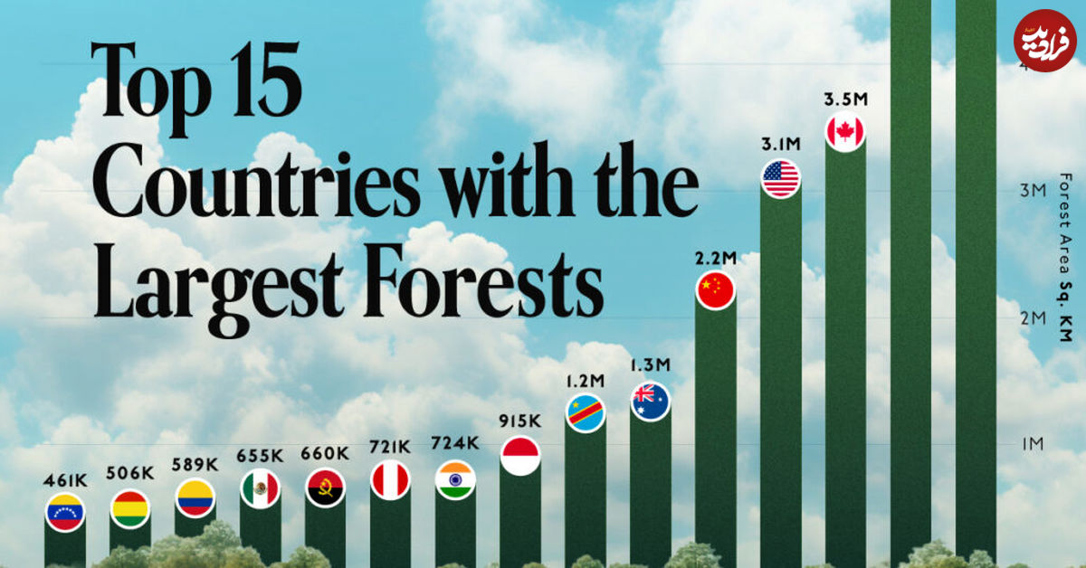 (اینفوگرافیک) کدام کشورها بزرگترین جنگل‌های جهان را در قلمرو خود دارند؟ 