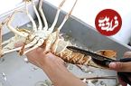 ببینید؛ غذای خیابانی در ویتنام؛ پخت خرچنگ دریایی در سس تمر هندی در هانوی