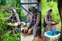 ببینید؛ غذای روستایی در ایران؛ برداشت بادمجان و فلفل از مزرعه و تهیه ترشی هفت بیجار