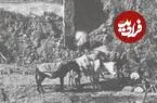 عکس| سفر زمان؛ ساخت و ساز در «عمارت حرم‌خانه» در دوران ناصرالدین شاه