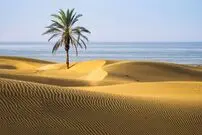 عکس| دَرَک، تلاقی سحرآمیز کویر و دریا در سواحل مَکُران