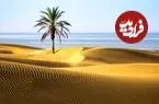 عکس| دَرَک، تلاقی سحرآمیز کویر و دریا در سواحل مَکُران