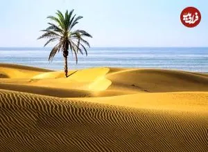 عکس| دَرَک، تلاقی سحرآمیز کویر و دریا در سواحل مَکُران