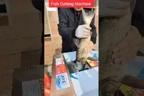 (ویدئو) این دستگاه جالب و جدید ماهی را برش زده و تمیز تحویل می دهد!