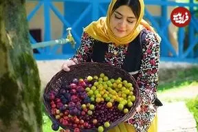 ببینید| غذای روستایی در ایران؛ تهیه بستنی یخی با آلبالو و آلوچه جنگلی