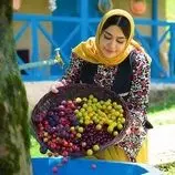 ببینید| غذای روستایی در ایران؛ تهیه بستنی یخی با آلبالو و آلوچه جنگلی