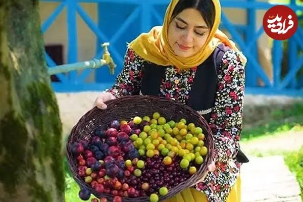 ببینید| غذای روستایی در ایران؛ تهیه بستنی یخی با آلبالو و آلوچه جنگلی