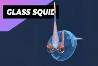 ببینید| ماهی مرکب شیشه ای؛ جانواری شگفت انگیزی که شفاف است!