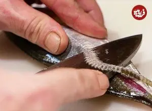 ببینید| غذای خیابانی در ژاپن؛ تهیه دو نوع غذا با ماهی اسنپر در توکیو