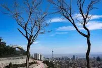 شاخص آلودگی هوای تهران چهارشنبه ۱۵ بهمن/ تنفس هوای «پاک» در تهران