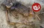 کشف مقبرۀ هزارسالۀ یک زن با «صدف‌هایی در کنار دهان»
