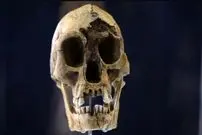 یک نظریۀ تازه دربارۀ علت انقراض «هابیت‌ها»