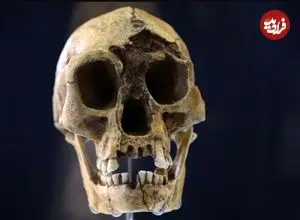 یک نظریۀ تازه دربارۀ علت انقراض «هابیت‌ها»