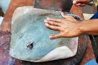 ببینید| غذای خیابانی در مالزی؛ پخت خورشت کاری با سفره ماهی در کوالالامپور