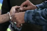 سارق حرفه ای بازداشت شد