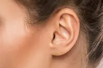 آناتومی شگفت‌انگیز لاله گوش؛ رادیاتور مخفی یا یک اشتباه تکاملی؟