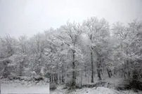 برف و باران و باد در ۲۸ استان؛ احتمال آبگرفتگی معابر